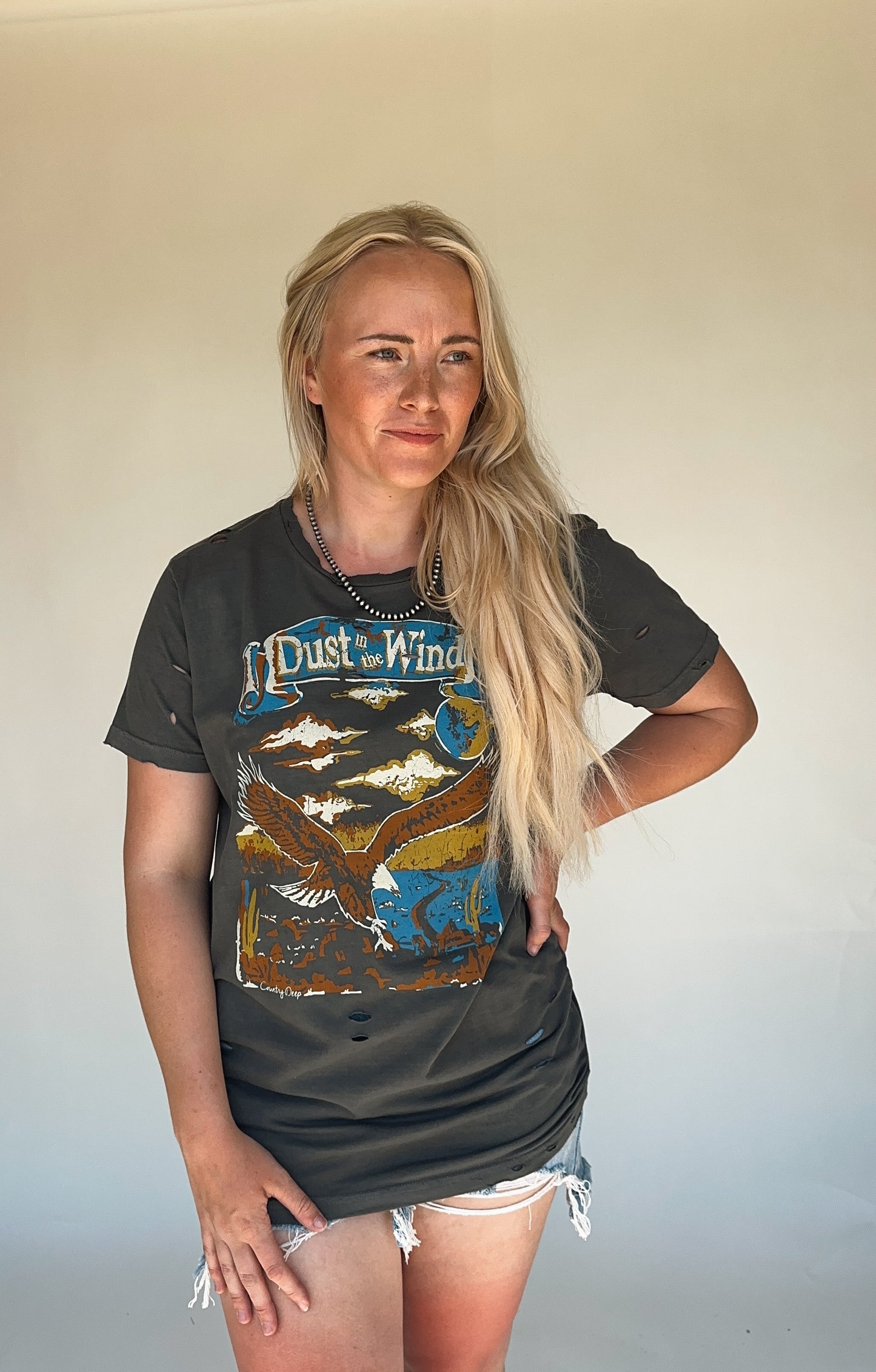 Dust In The Wind Tee